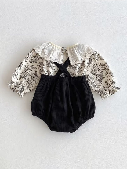 The Monochromatic Meadow Set