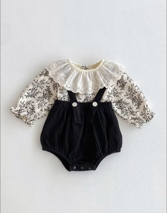 The Monochromatic Meadow Set
